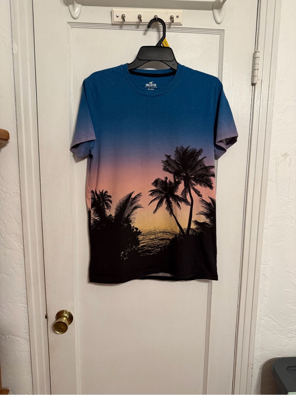 Hollister Blue to Pink Sunset Palm Graphic Tee